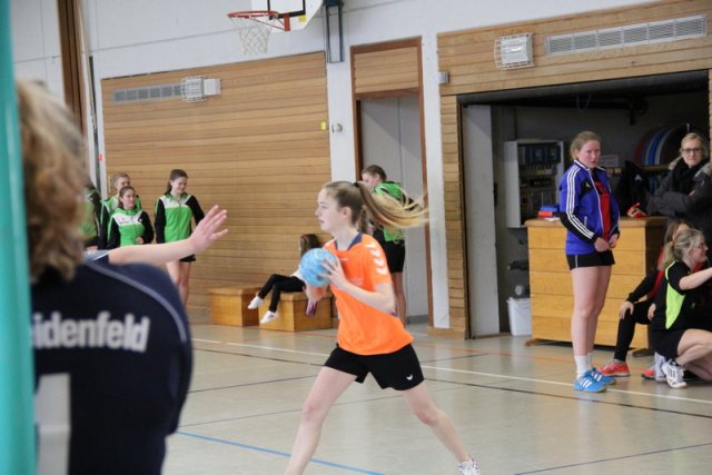 2017_02_19 Landesliga Frauen und Jugend 19